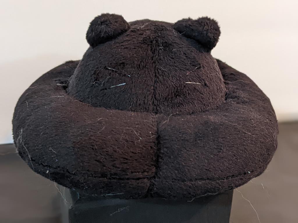 A flying saucer with cat ears, a tail, and whiskers. It is black.